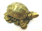 Tartaruga